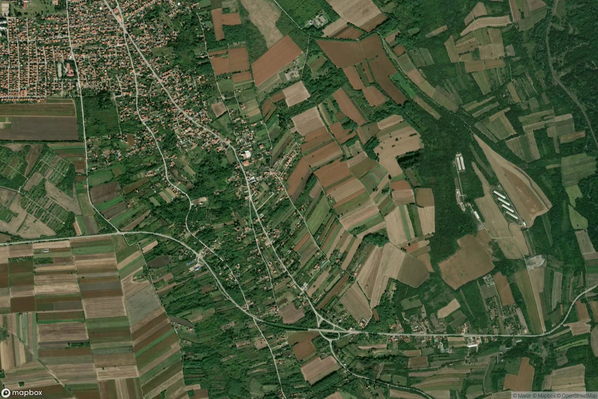 Lučica